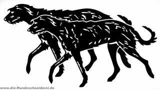 Irish Wolfhound laufend 2 Wölfe